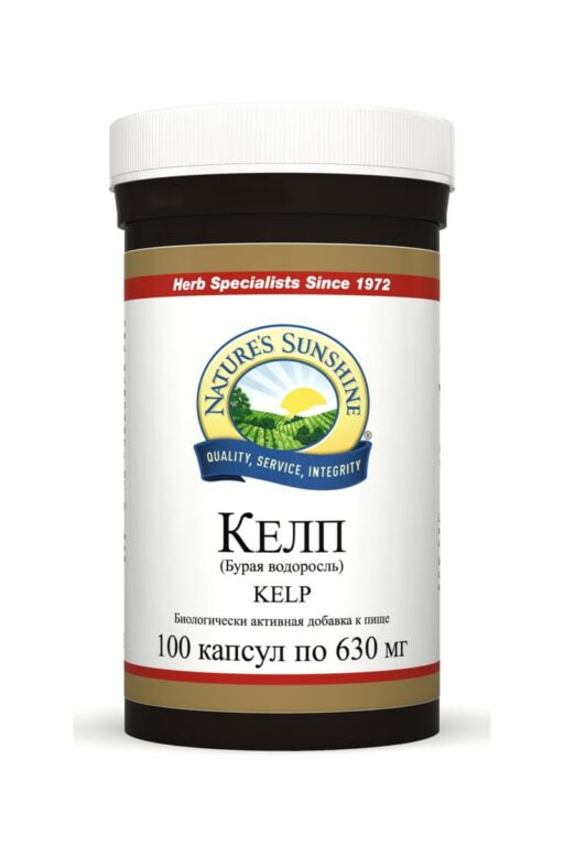 Келп (Бурая водоросль) | Kelp